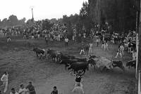 1&ordm; premio Rub&eacute;n de Miguel Espeso [800x600]