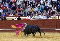 MIERCOLES (1) Enrique Madro&ntilde;o