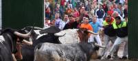 encierros-de-cuellar-la-suelta