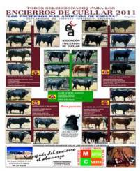 2011 Encierros de Cuéllar