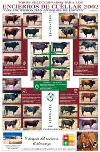 2002 Encierros de Cu&eacute;llar