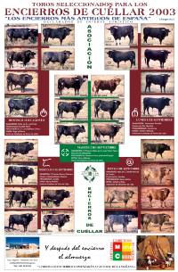 2003 Encierros de Cu&eacute;llar