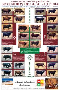 2004 Encierros de Cu&eacute;llar