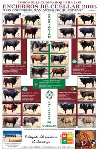 2005 Encierros de Cu&eacute;llar
