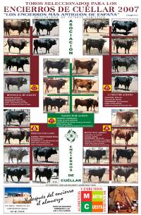2007 Encierros de Cu&eacute;llar