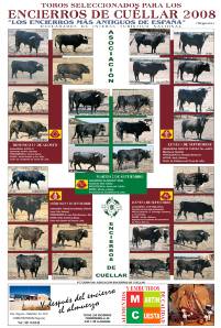 2008 Encierros de Cu&eacute;llar