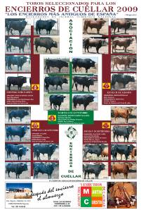 2009 Encierros de Cu&eacute;llar