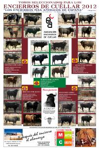 2012 Encierros de Cu&eacute;llar