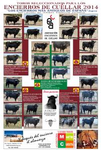 2014 Encierros de Cu&eacute;llar